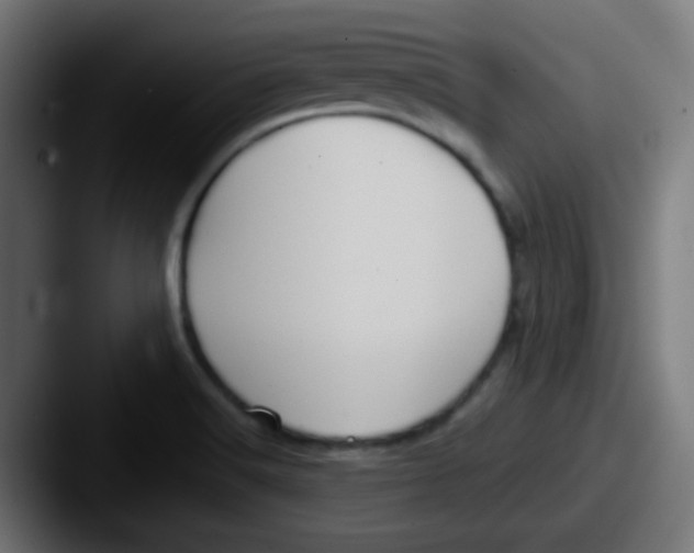 X0000087611516200705181246