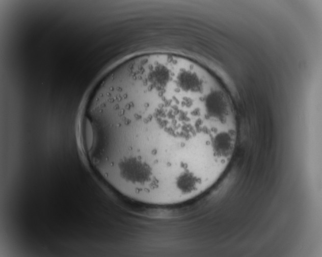 X0000087611517200705181246