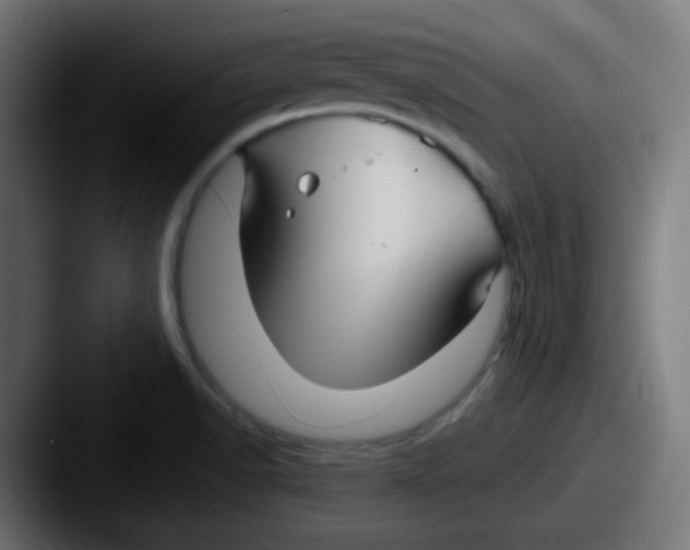 X0000087611518200705181246
