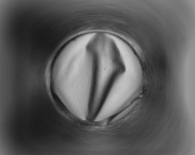 X0000087611519200705181246
