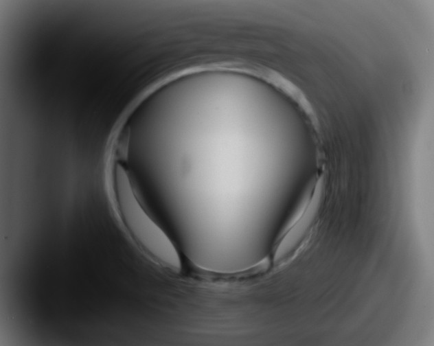 X0000087611520200705181246