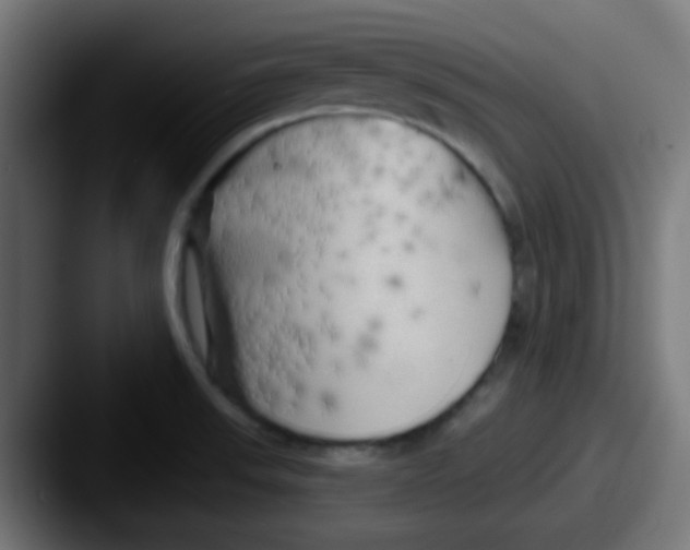 X0000087611523200705181246