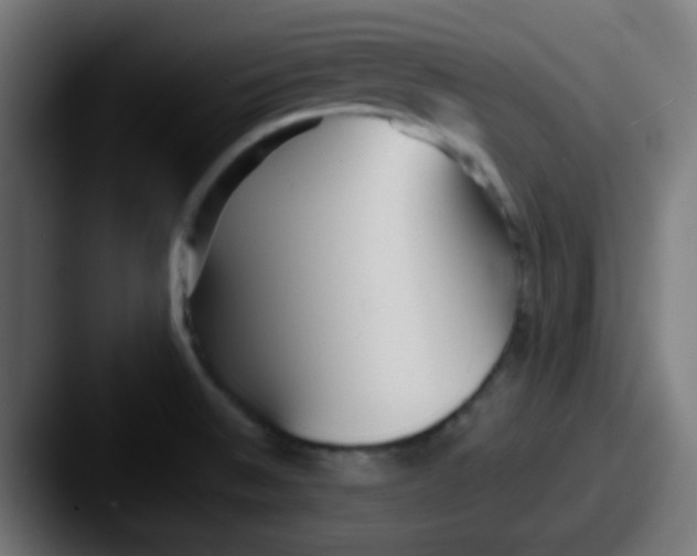 X0000087611524200705181246