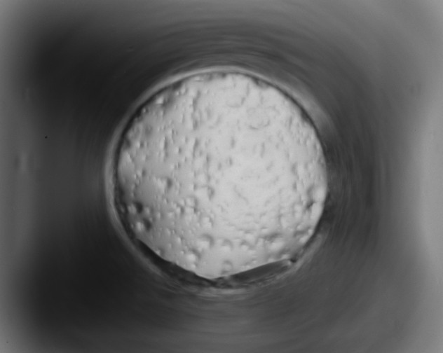 X0000087611526200705181246