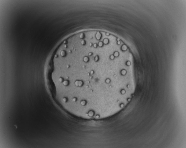 X0000087611527200705181246