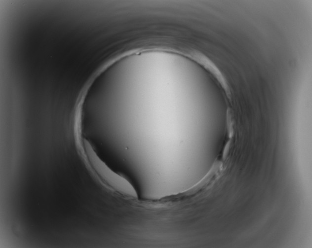 X0000087611528200705181246