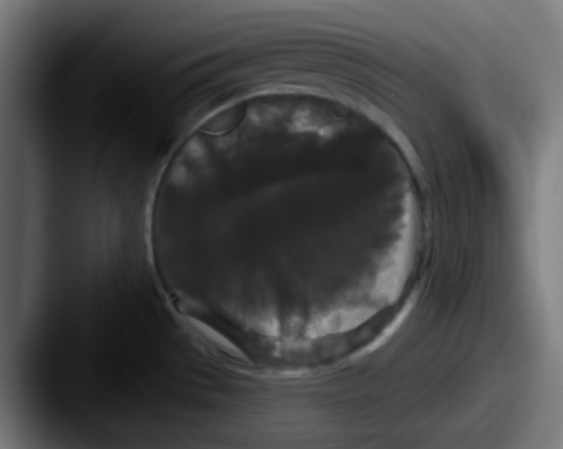 X0000087611529200705181246