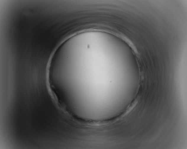 X0000087611530200705181246