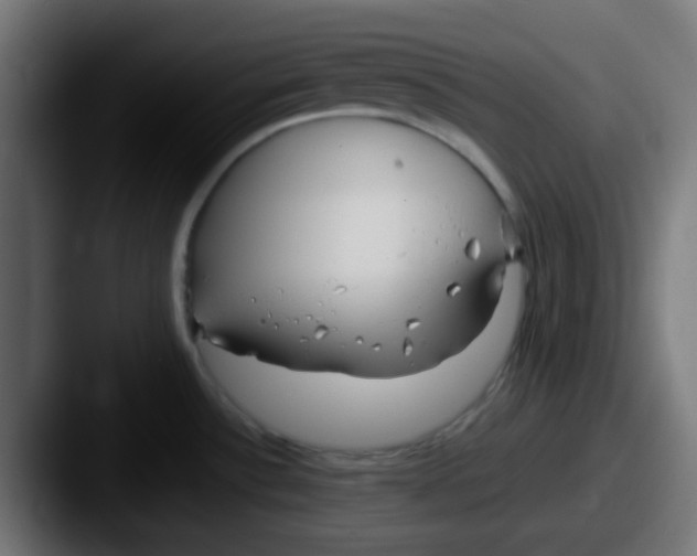 X0000087611532200705181246