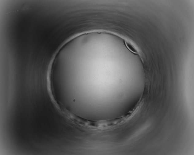 X0000087611534200705181246