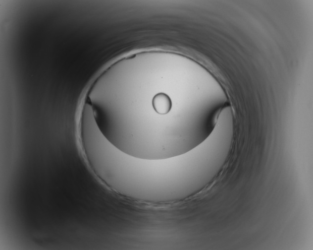 X0000087611536200705181246