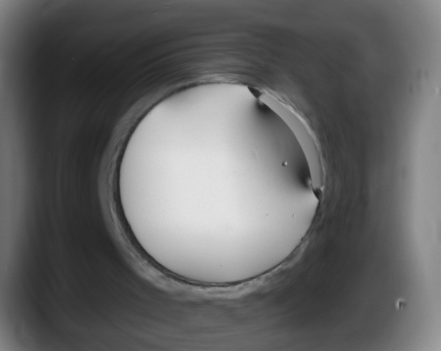 X0000087610001200705251952