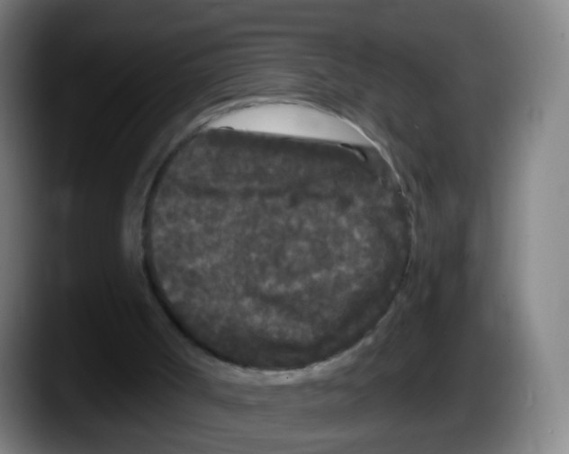 X0000087610002200705251952