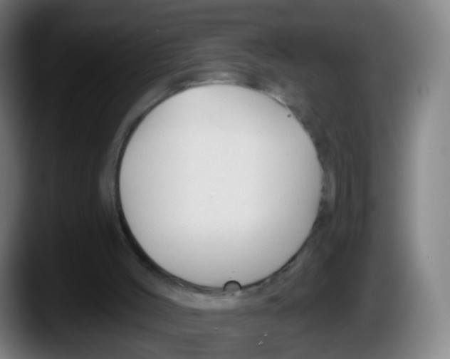 X0000087610004200705251952