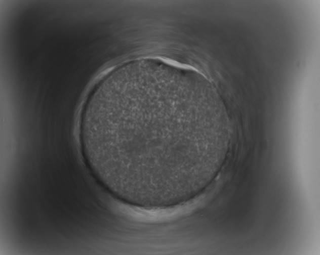 X0000087610006200705251952