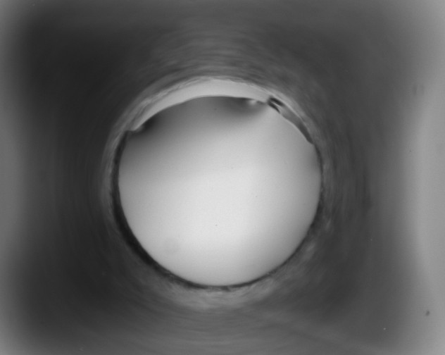 X0000087610007200705251952