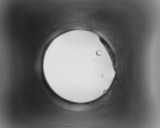 X0000087610008200705251952