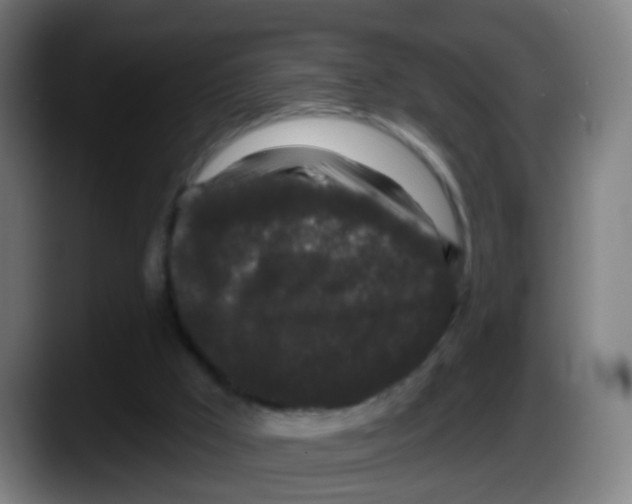 X0000087610009200705251952