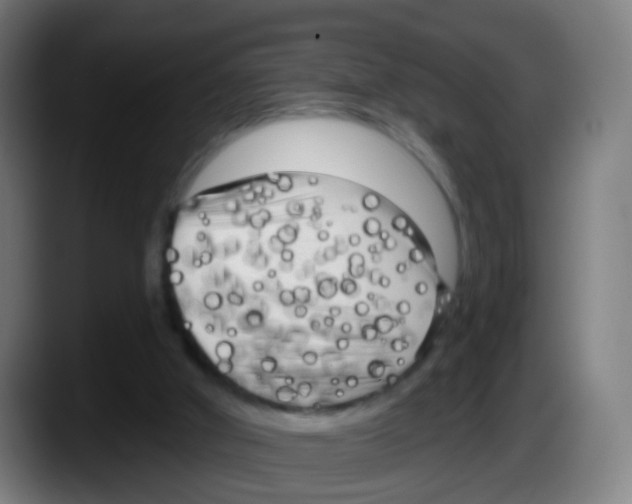 X0000087610010200705251952