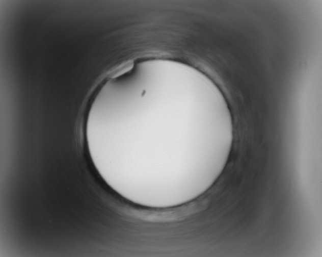 X0000087610011200705251952