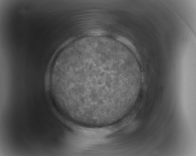 X0000087610012200705251952