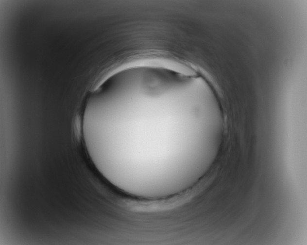 X0000087610013200705251952