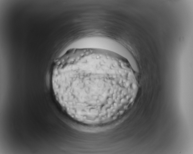 X0000087610014200705251952