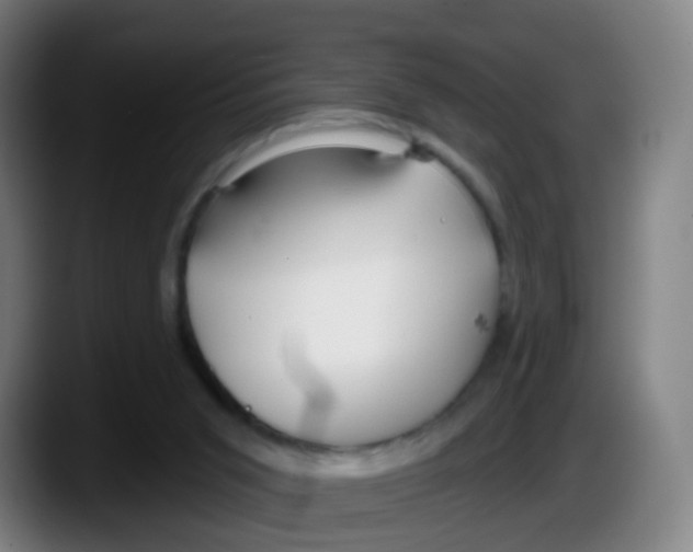 X0000087610015200705251951