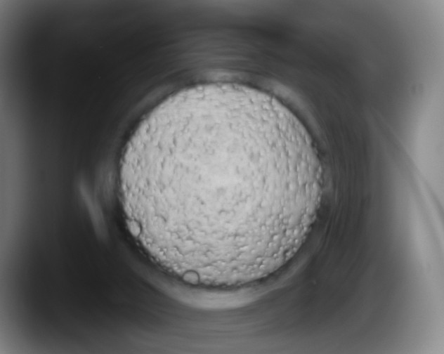 X0000087610016200705251951