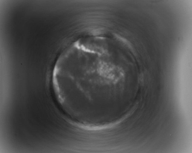 X0000087610018200705251951