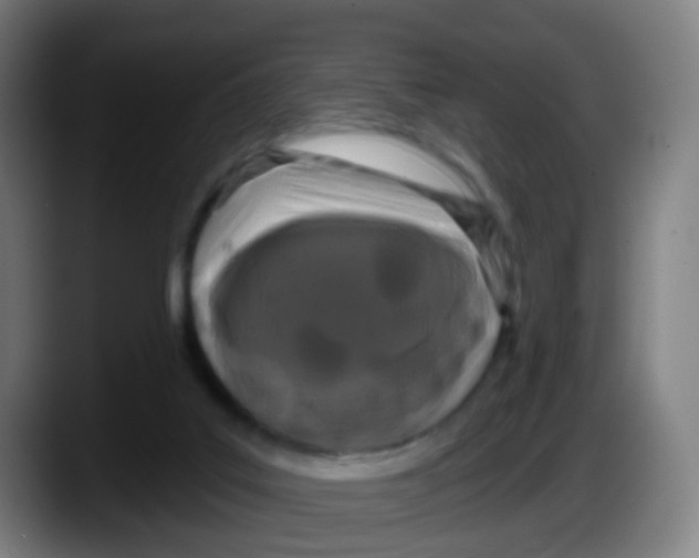 X0000087610019200705251951