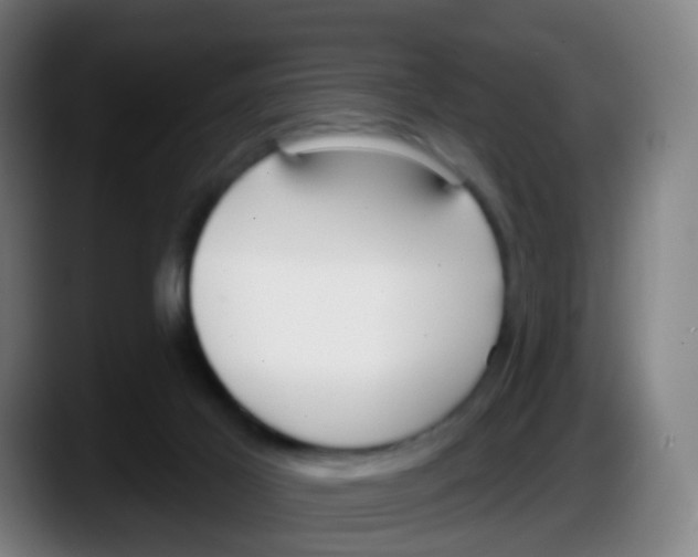 X0000087610021200705251951