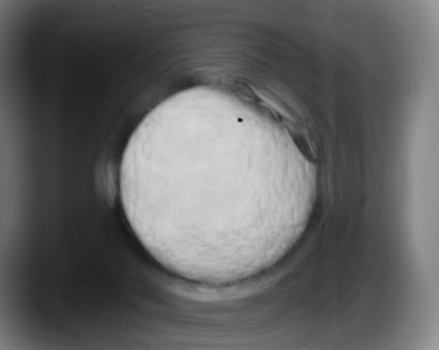 X0000087610022200705251951