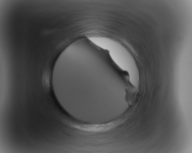 X0000087610023200705251951