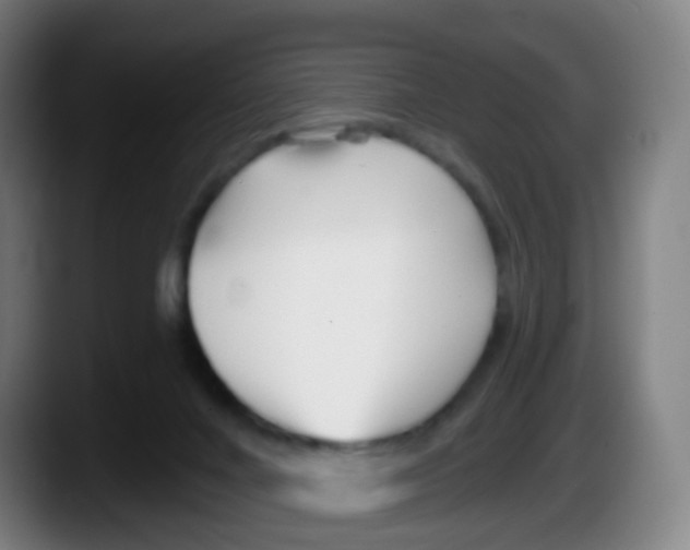 X0000087610024200705251951