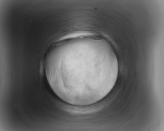 X0000087610026200705251951