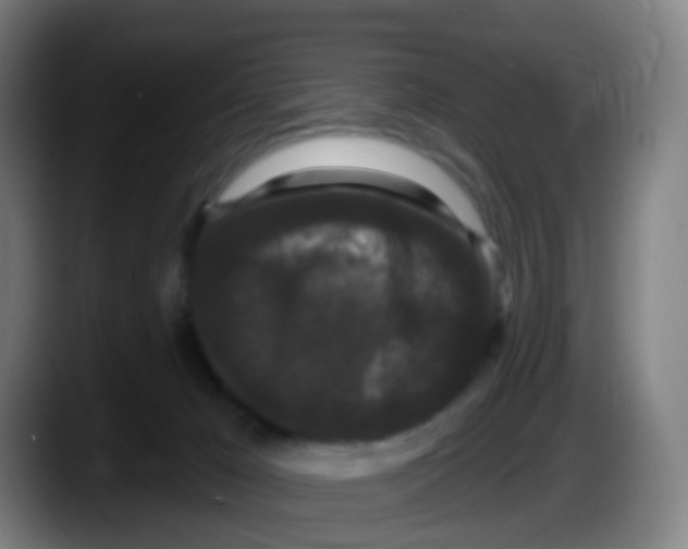 X0000087610029200705251951