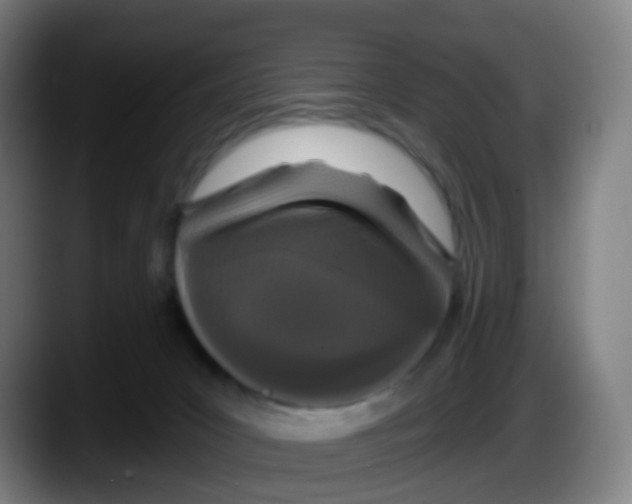 X0000087610031200705251951