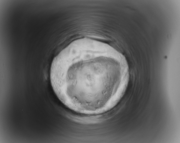 X0000087610032200705251951