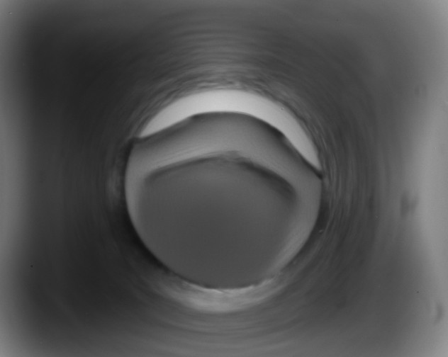 X0000087610035200705251951