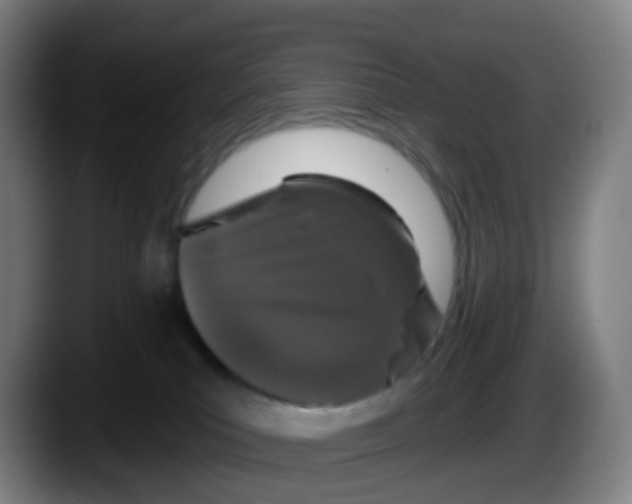 X0000087610039200705251951