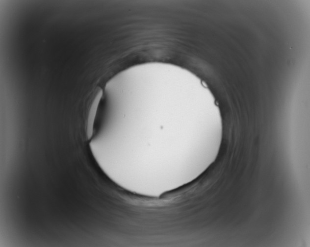 X0000087610040200705251951