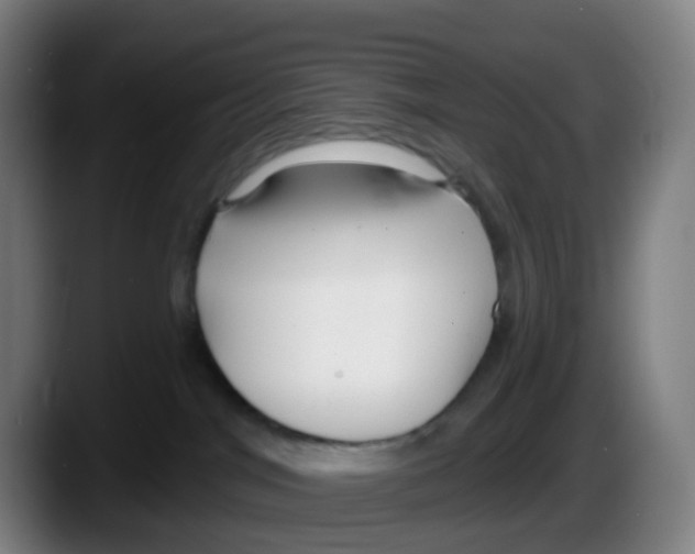 X0000087610044200705251951