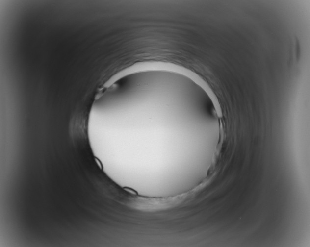 X0000087610045200705251951