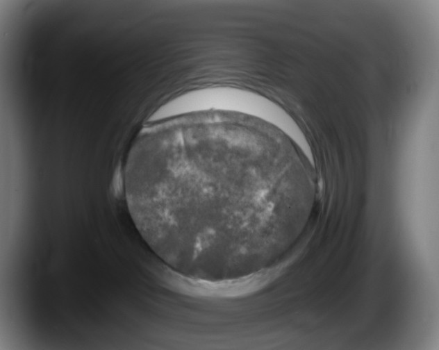 X0000087610046200705251951