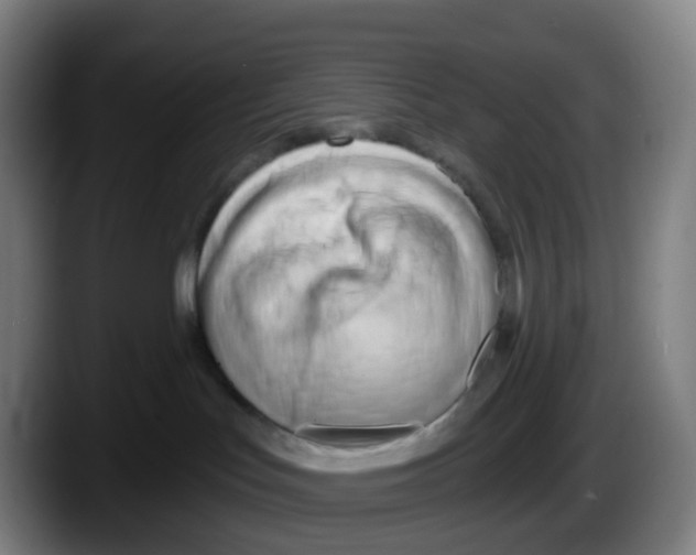 X0000087610047200705251951