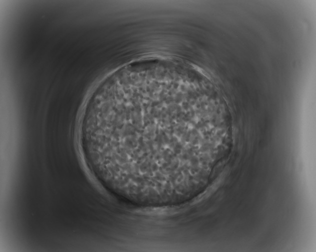 X0000087610049200705251950