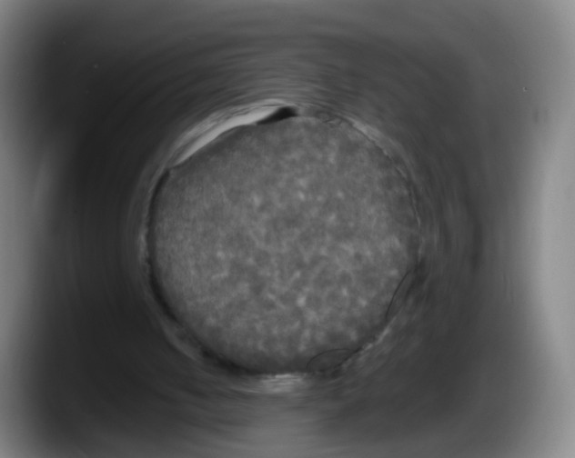 X0000087610050200705251950