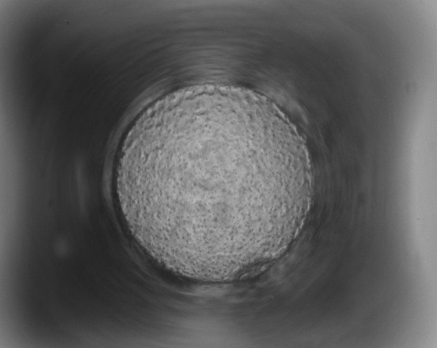 X0000087610051200705251950