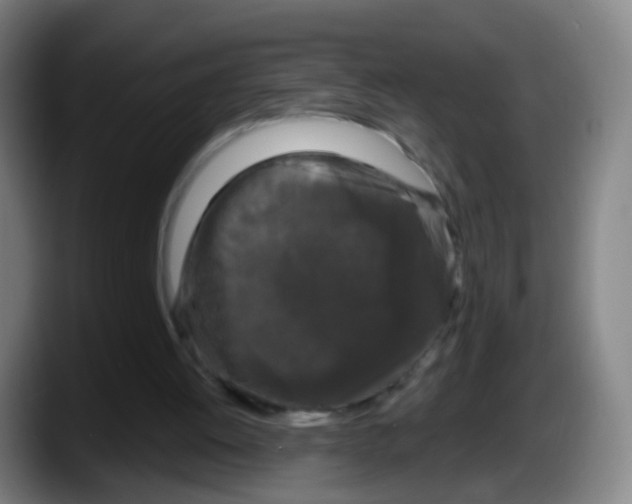 X0000087610052200705251950